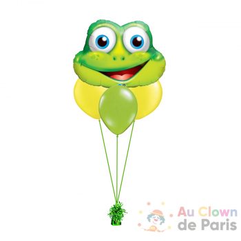 Bouquet De Ballons Grenouille H Lium Au Clown De Paris