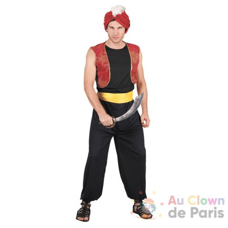 Déguisement Prince des Voleurs